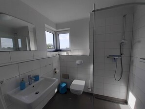 Shower, hair dryer, soap, toilet paper