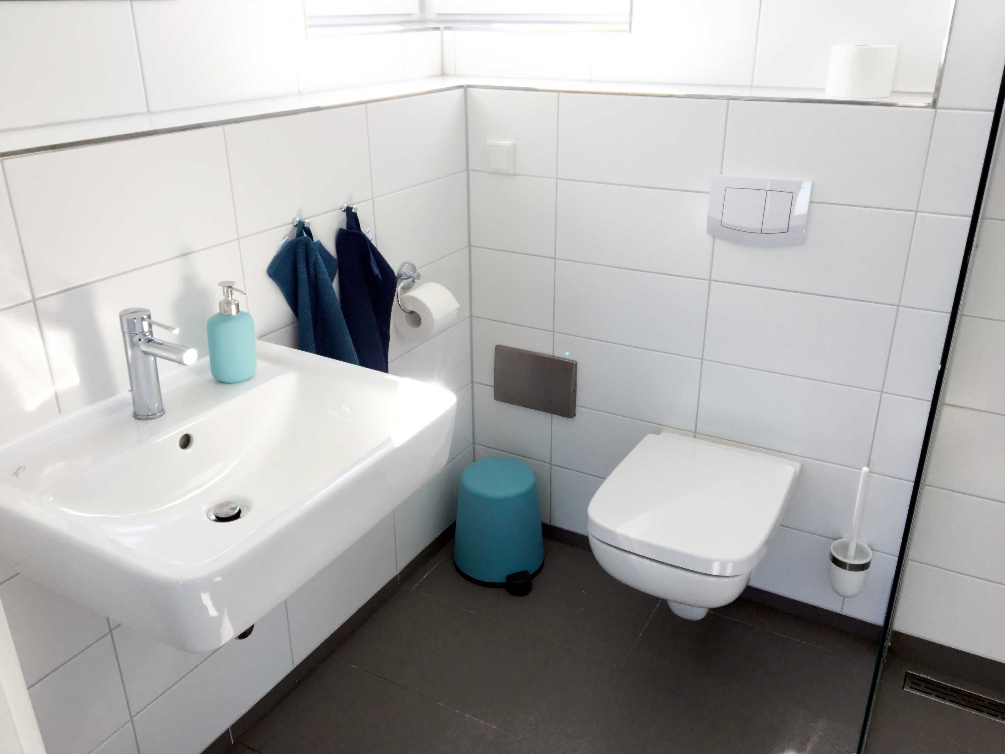 Shower, hair dryer, soap, toilet paper