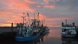 Un port où plusieurs bateaux de pêche sont amarrés, portant des noms tels que « Madonna » et « Nordstrand ».