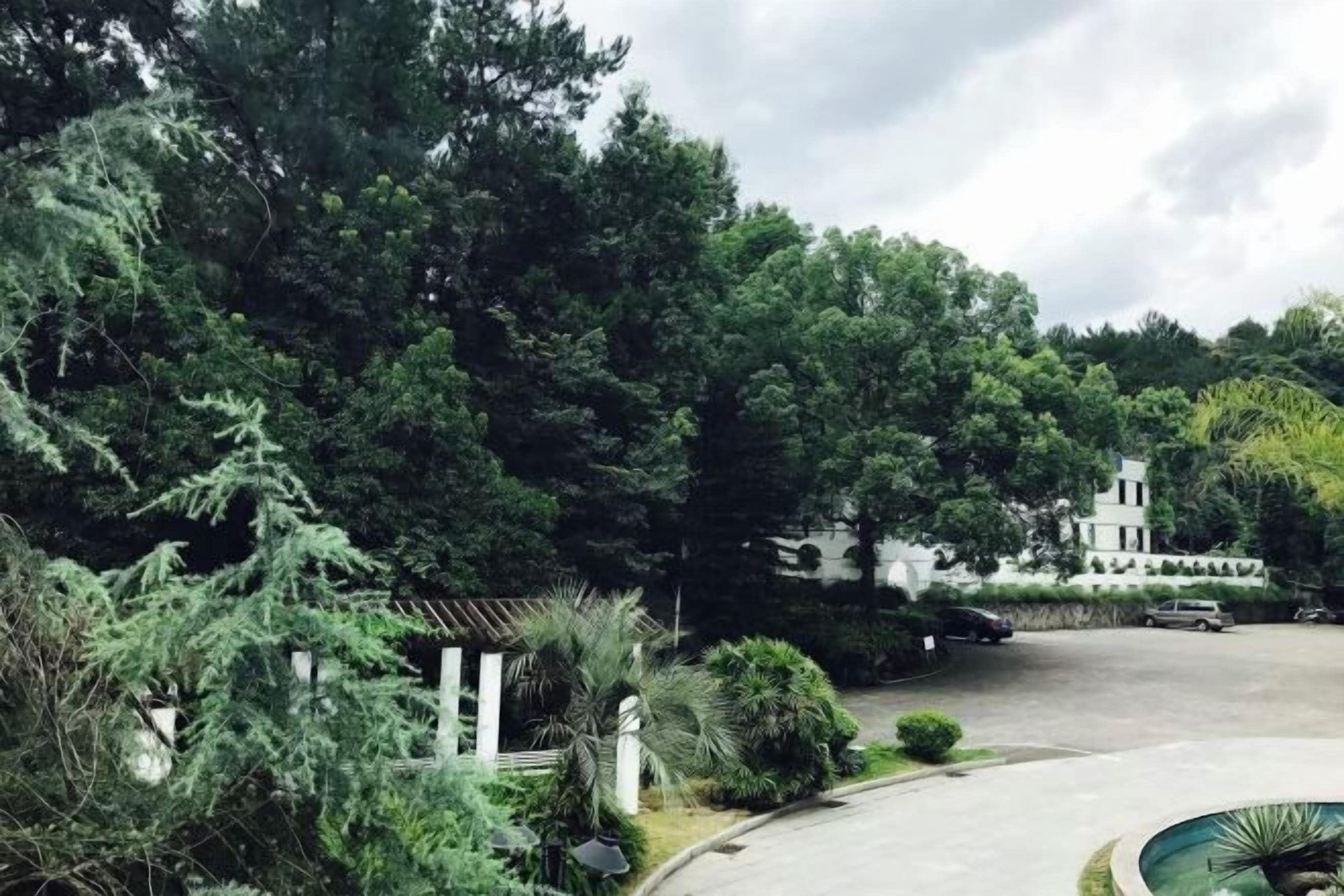 A parking area with a curved driveway leading to a building surrounded by dense greenery.