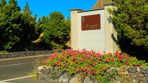 A sign with the name "Imada" on a building, surrounded by a stone wall and pink flowers. - Hotel Rural Imada (Alajero)