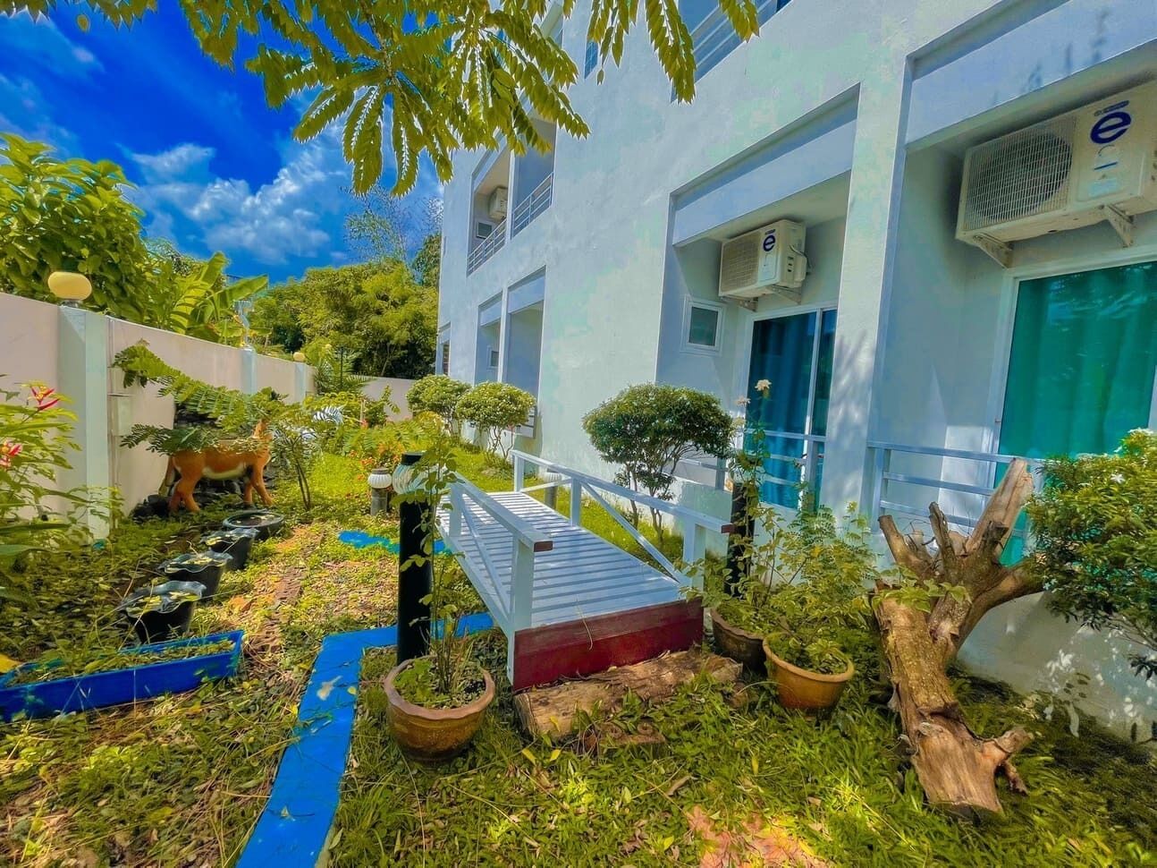 Garden view