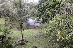 A lush garden with palm trees, a small stream, and dense foliage. - Big Falls Extreme Adventures (Punta Gorda)
