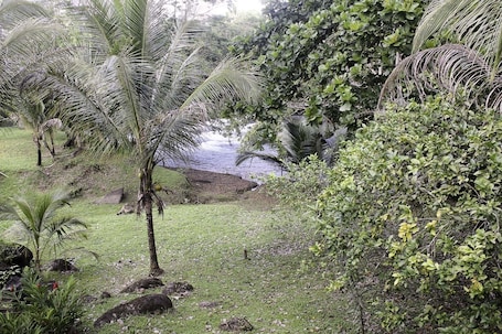 Property grounds. Big Falls Extreme Adventures