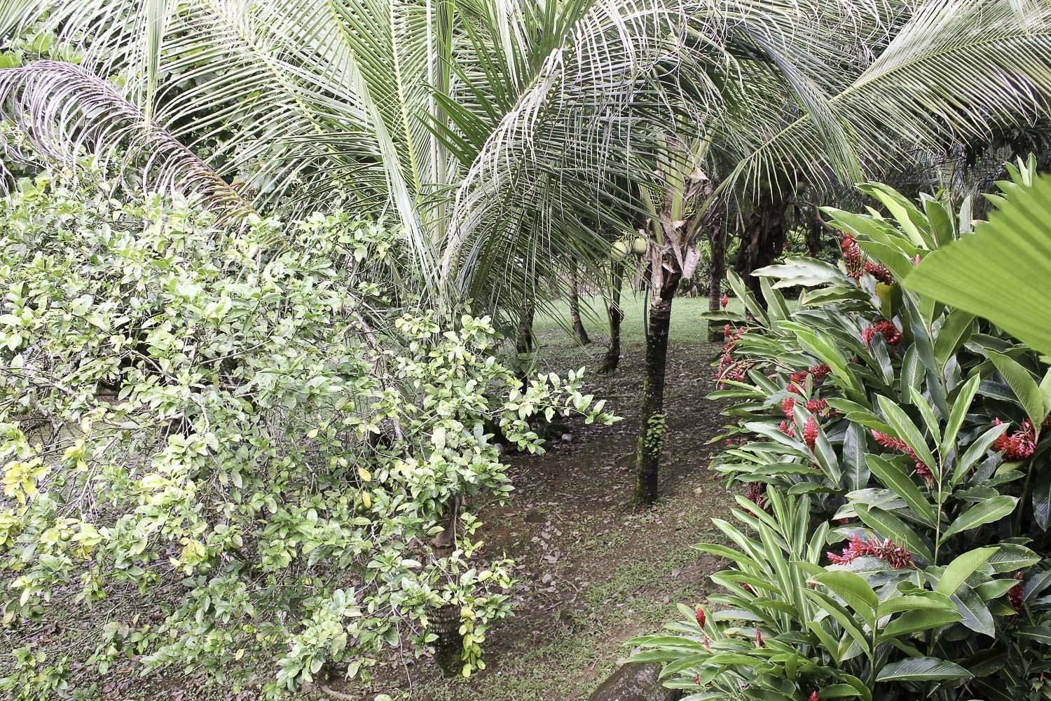 Khuôn viên nơi lưu trú
