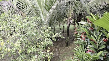 Khuôn viên nơi lưu trú