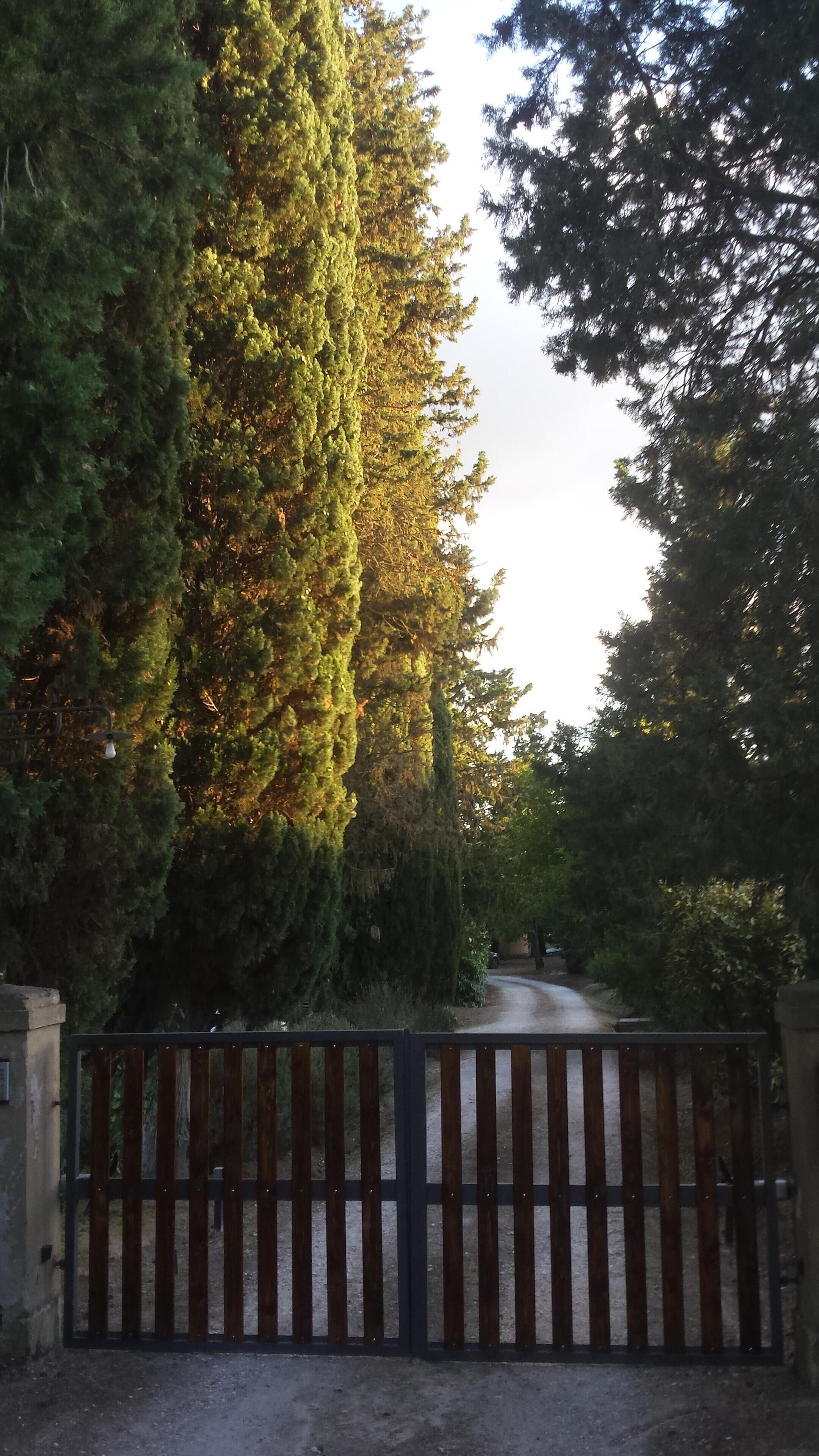A gated entrance with a dirt path leading through a wooded area.