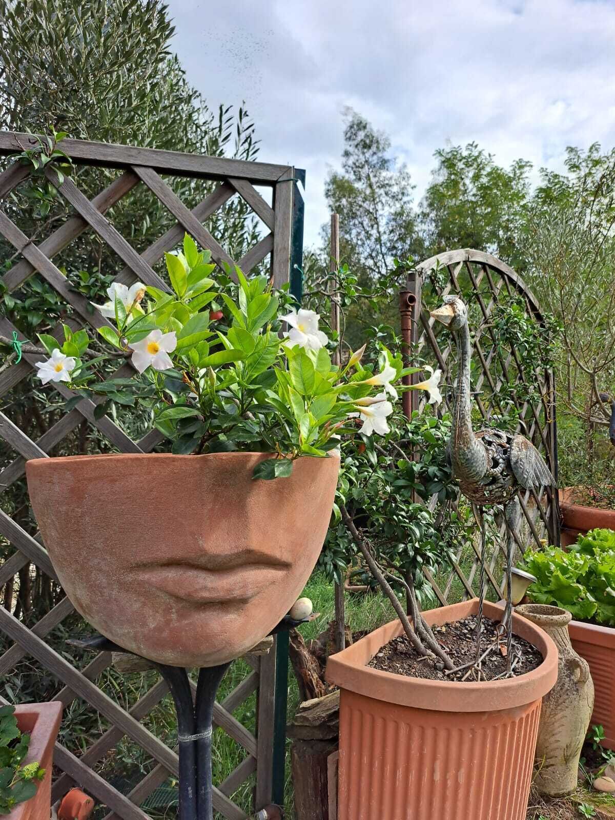 A garden with a large terracotta pot containing white flowers, a metal sculpture of a bird, and various potted plants.