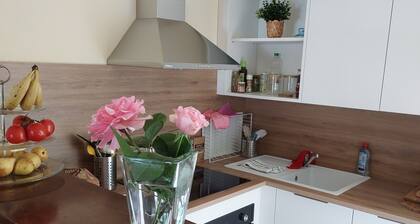 comfortable holiday home in southern France