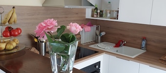 comfortable holiday home in southern France