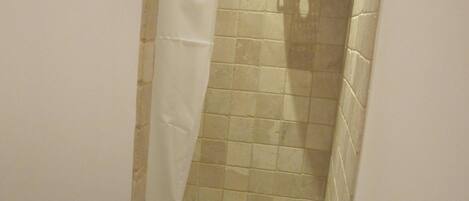 A narrow bathroom with a shower curtain, a toilet, and a soap dispenser on the wall.