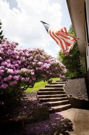A pathway leading to a house with an American flag and purple flowers.