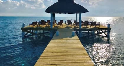 Oceanfront 3 bed/3 ba Penthouse Velento#1 private dock/pool/free paddleboards