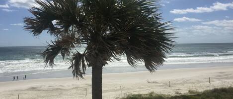 On the beach, sun loungers, beach towels