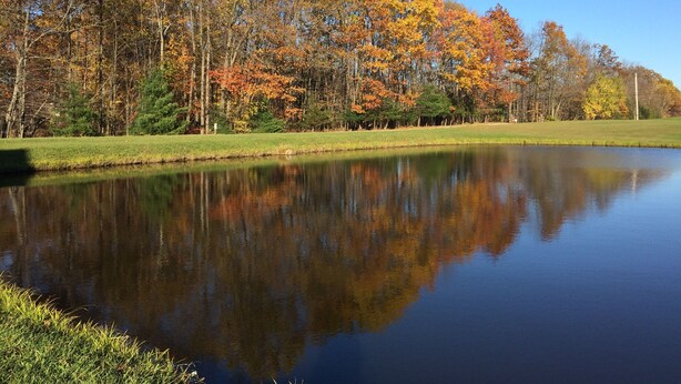 A calm lake reflecting trees with autumn foliage, surrounded by a grassy area and a clear sky. - Private Chalet with a View (Geneva)