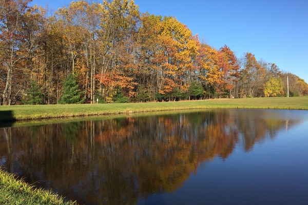 Àrea exterior de l'allotjament