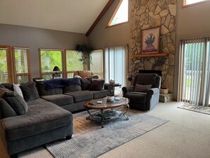 TV connectée, cheminée, lecteur de DVD, livres