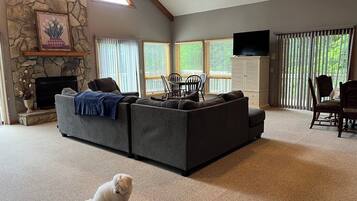 TV connectée, cheminée, lecteur de DVD, livres