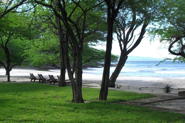 Une plage bordée d’arbres, avec des bancs et une vue dégagée sur l’océan.