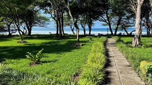 Ein Weg, der zu einem Strand mit Bäumen und Gras führt.