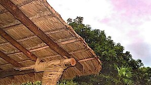 A pool area with a thatched roof structure, surrounded by lush greenery.