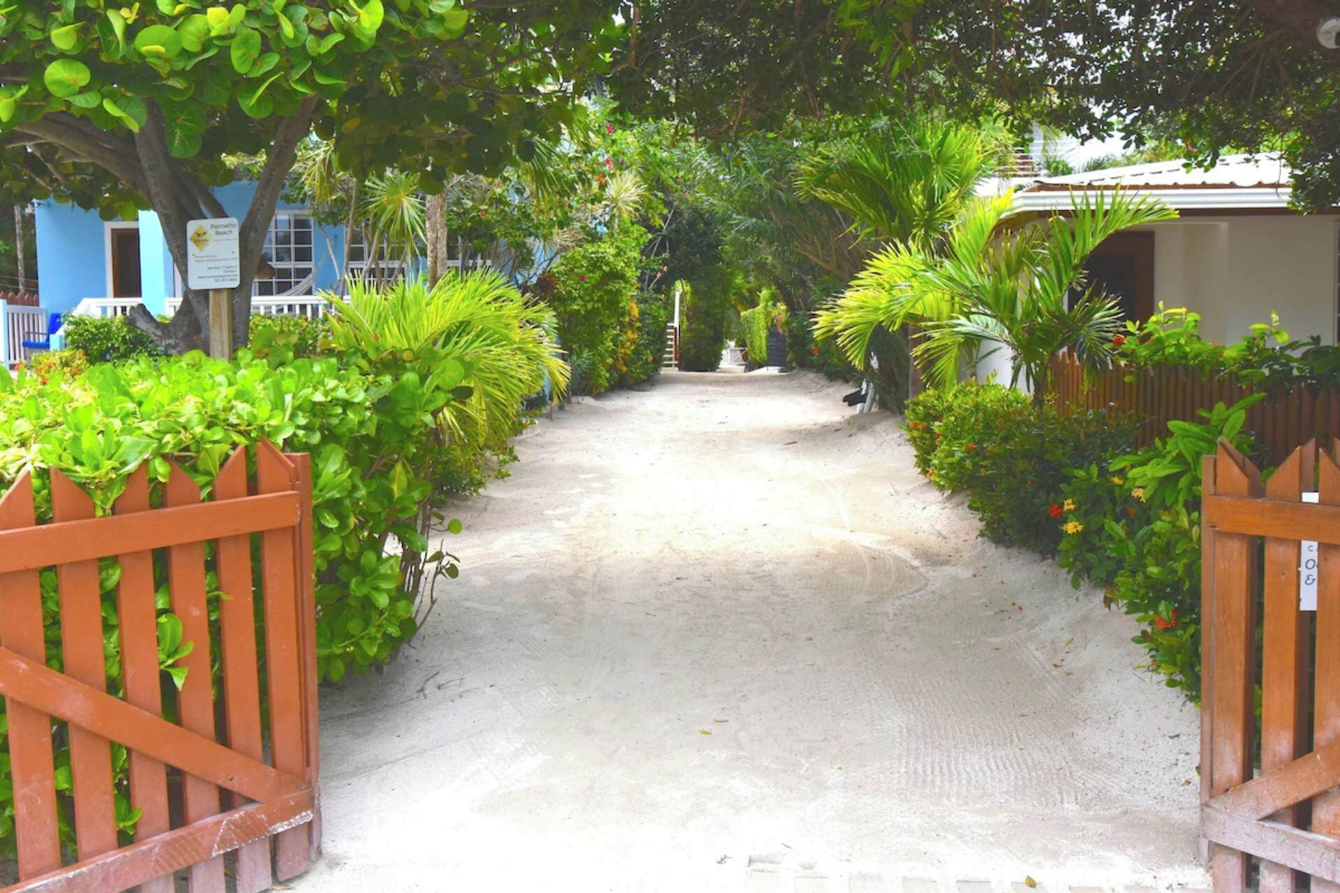 A pathway leading to a building with a blue exterior, surrounded by lush greenery and a wooden gate.