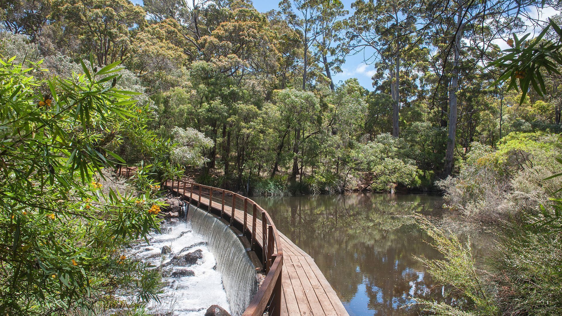 Villa on Fearn - in the Heart of Margaret River — image 6