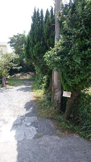 Property grounds - Tebiro BeachBackpackers (Tatsugo)