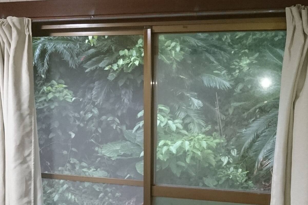 Værelse til 3 personer (Private)