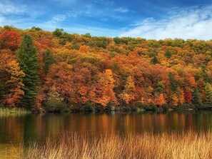 المنطقة المحيطة بالمنشأة