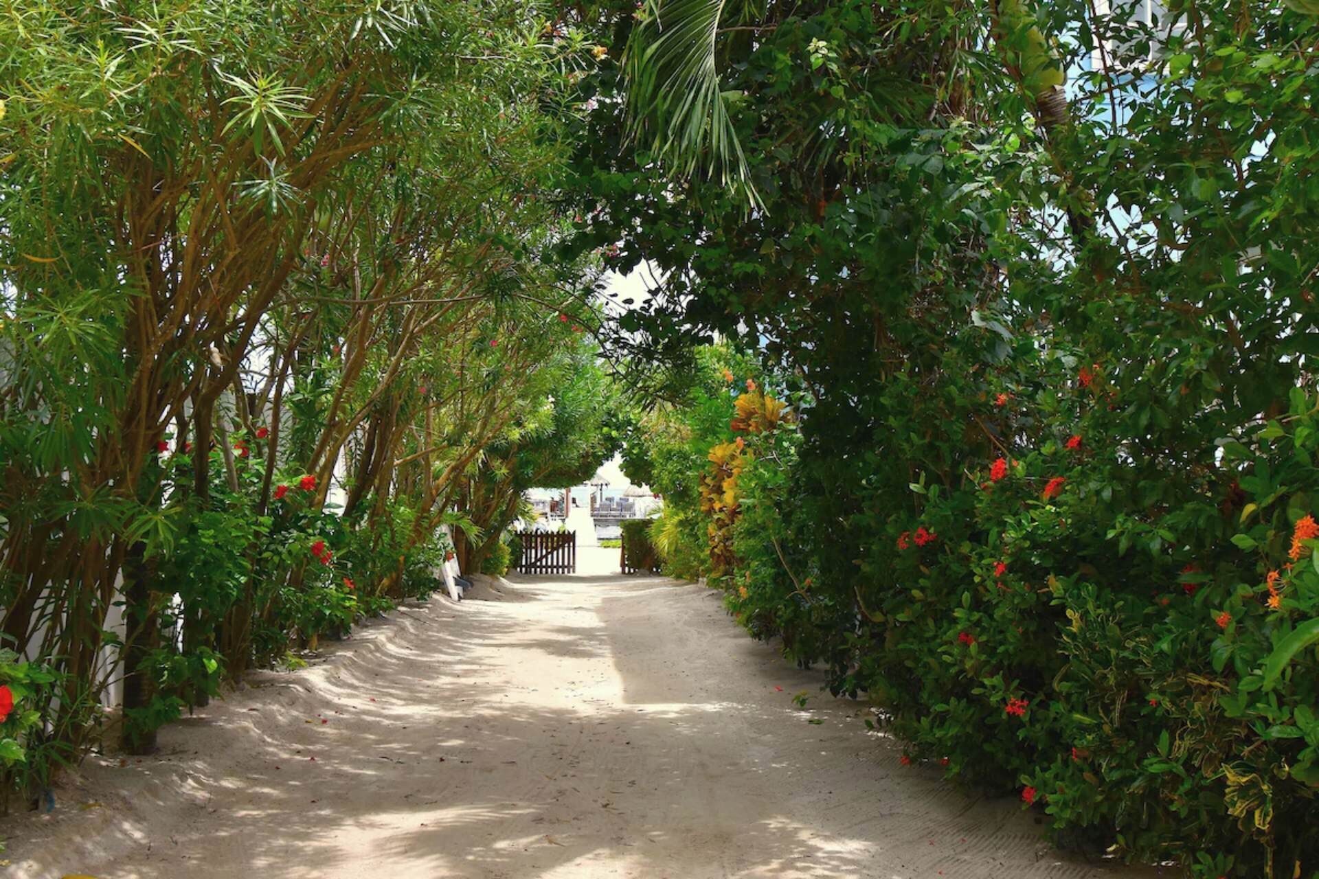 Áreas de la propiedad