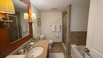 Hair dryer, towels, shampoo, toilet paper