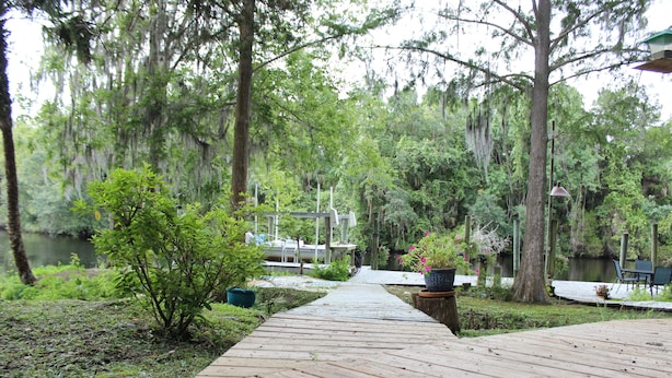 A wooden boardwalk leading through a wooded area with a lake, surrounded by trees and potted plants. - Private, Beautiful & Quiet Guesthouse On The Withlacoochee River (Yankeetown)