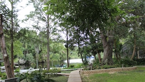 A wooden pathway leading to a dock over a calm lake, surrounded by lush greenery and trees. - Private, Beautiful & Quiet Guesthouse On The Withlacoochee River (Yankeetown)