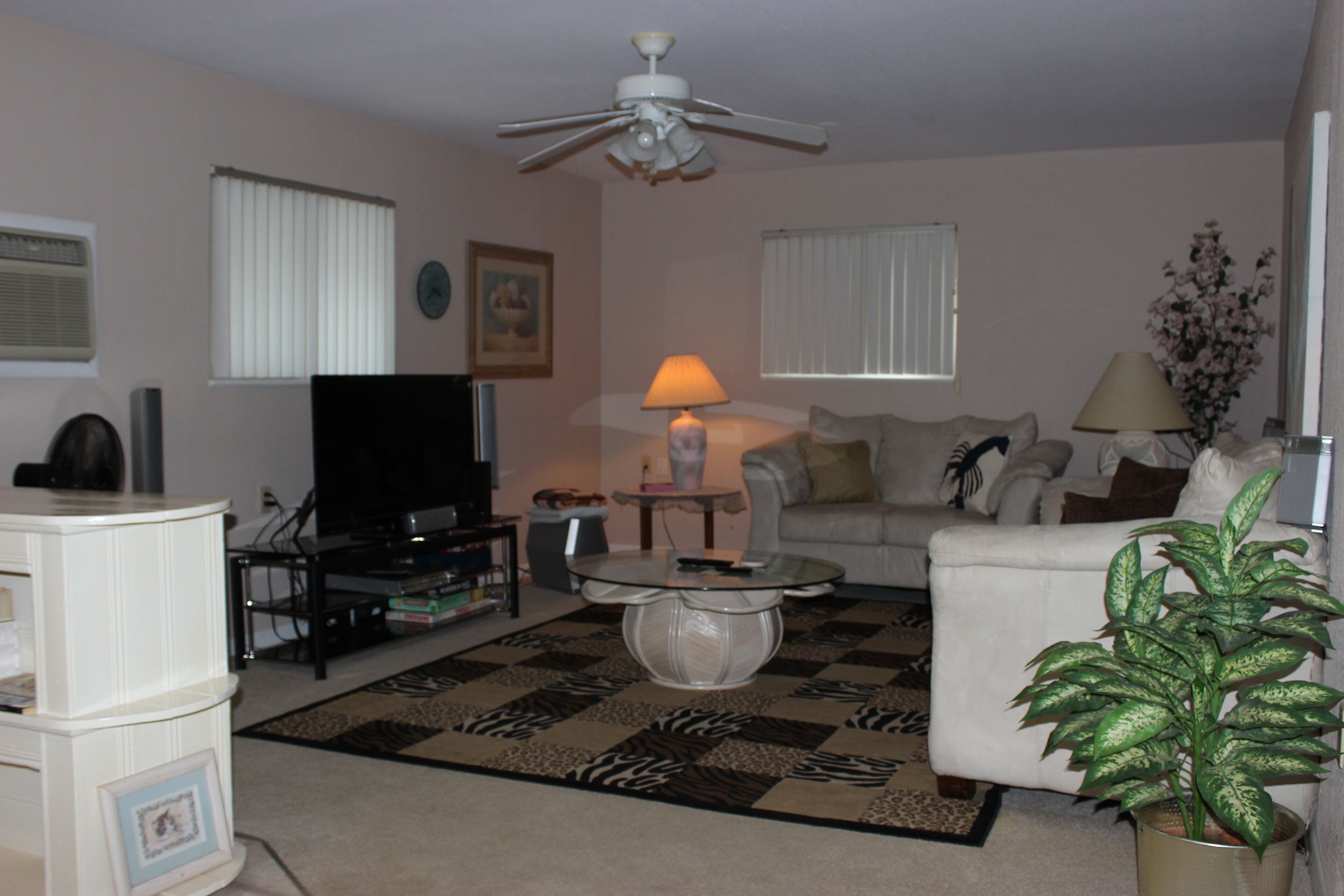 Smart TV, DVD player, books, video library