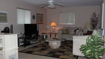 Smart TV, DVD player, books, video library