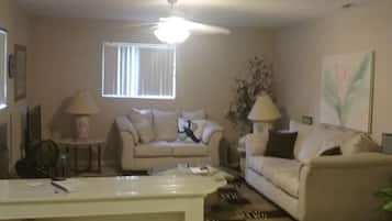 Smart TV, DVD player, books, video library