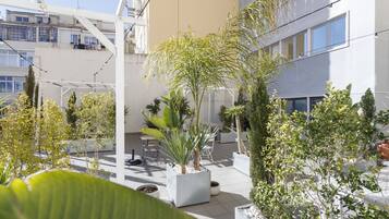 Terras