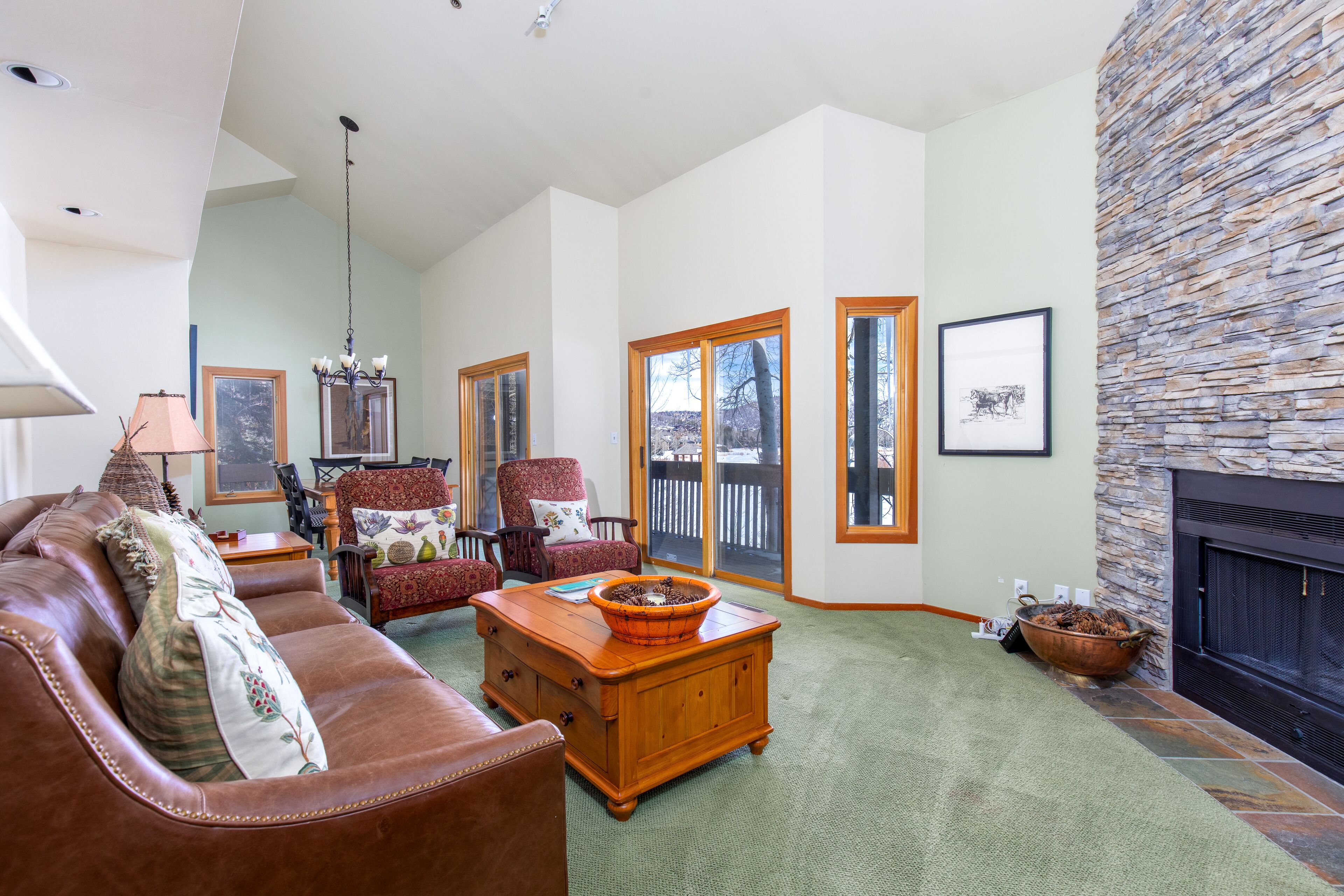 TV, fireplace, DVD player, music library