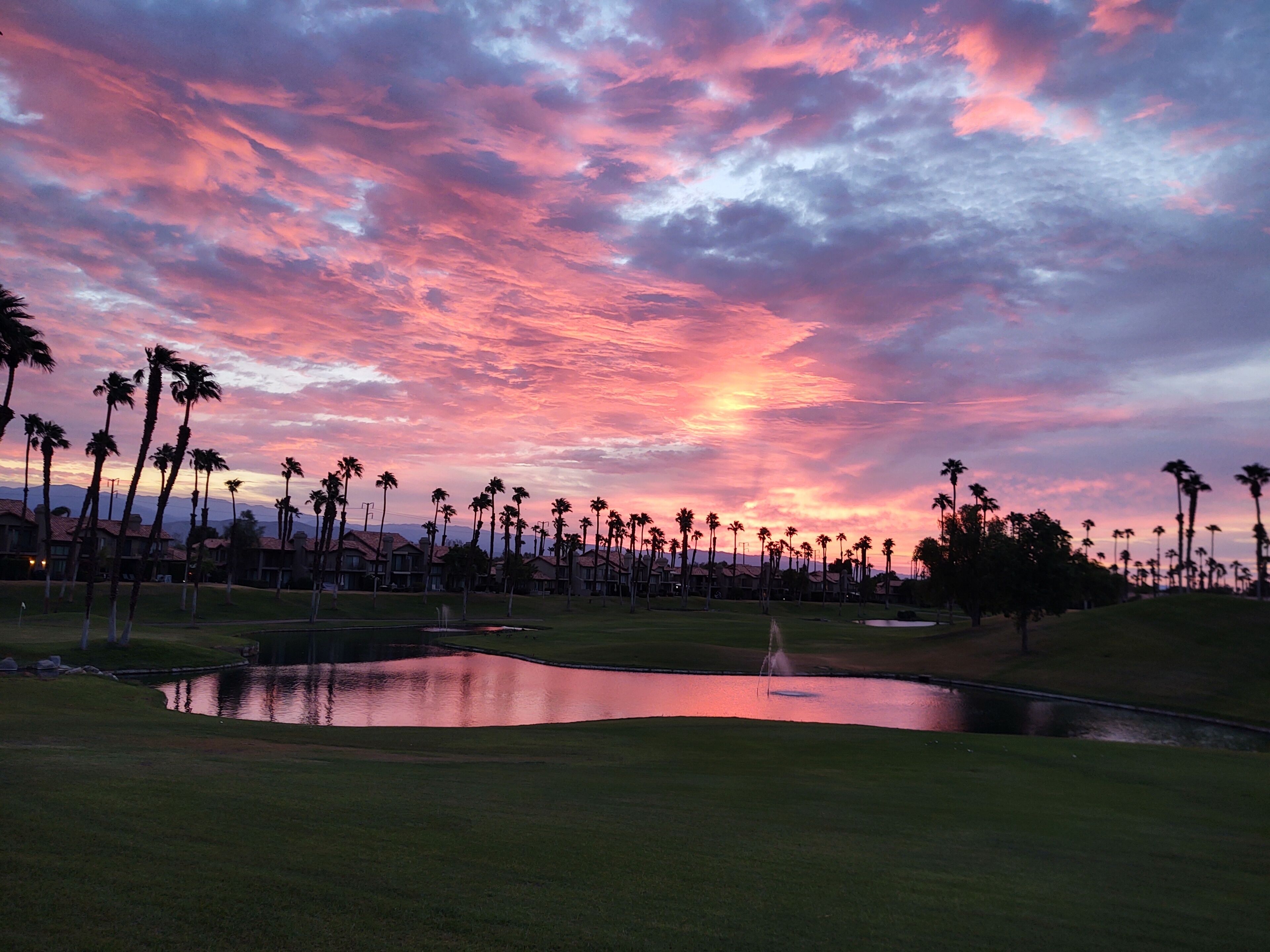 A golf course with a pond, palm trees, and houses in the background during sunset.