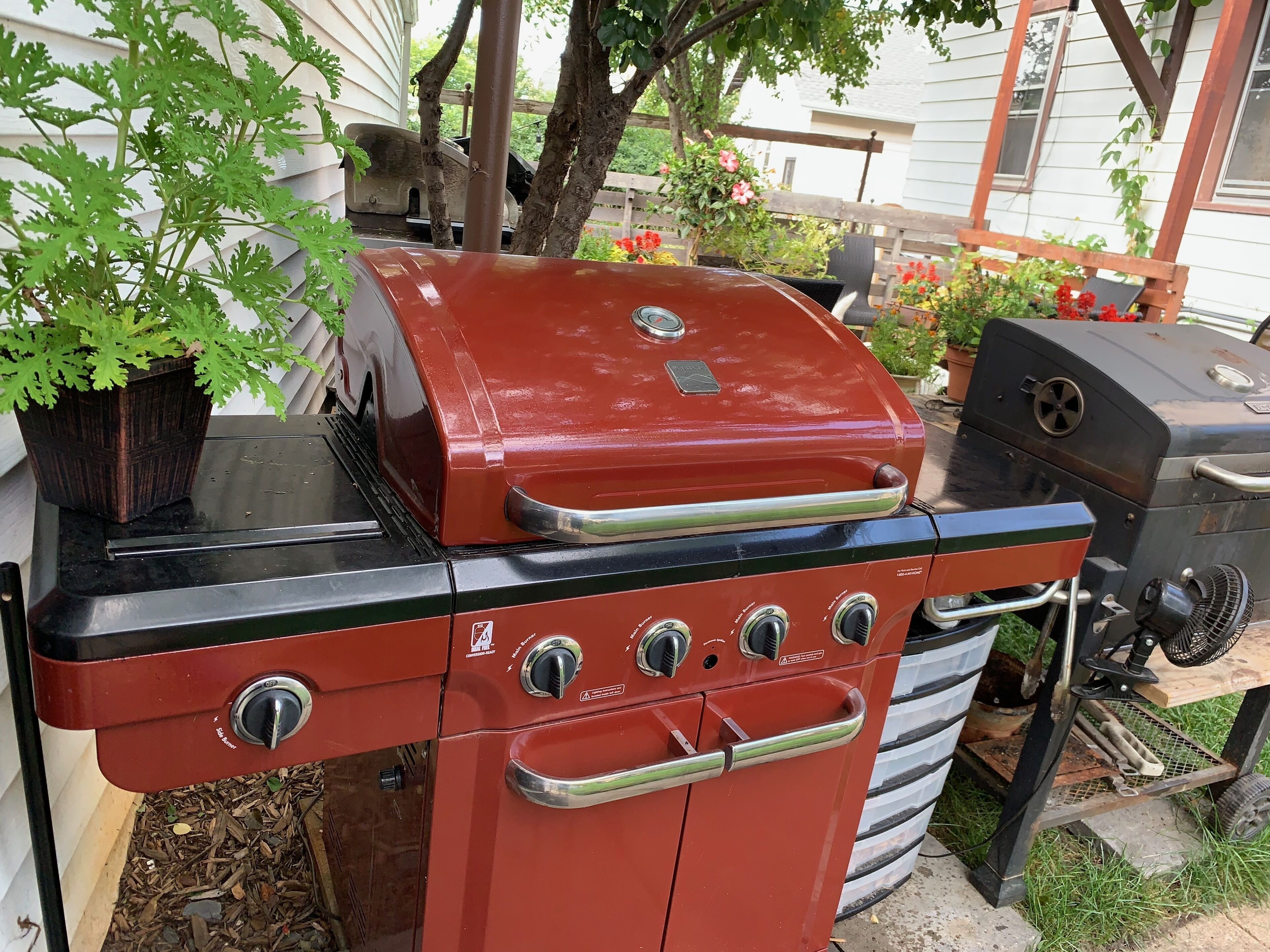 Un barbecue rouge et noir doté de quatre boutons de contrôle et d’une poignée en acier inoxydable, placé à l’extérieur, avec une clôture en bois et des plantes en pot en arrière-plan.