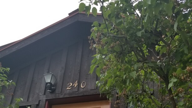 Uklassifisert bilde, 1 av 38, knapp
