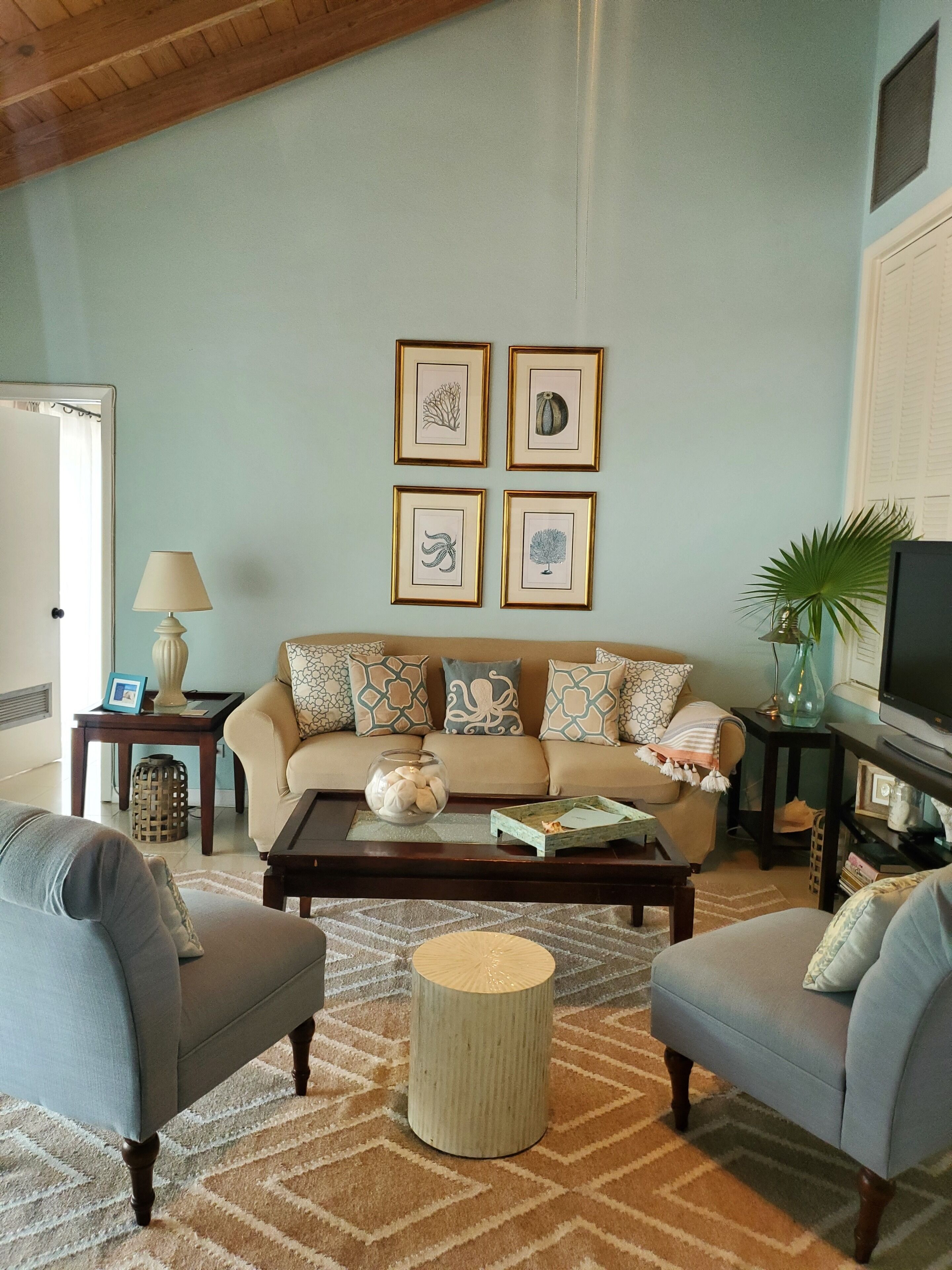 スマートテレビ、DVD プレーヤー、書庫