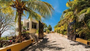 A paved pathway leading to a building with a white facade, flanked by palm trees and a yellow wall with a black decorative element. - Casa Pipilacha♛Ocean view Infinity Edge Pool with  in-law suite♛ (Tamarindo)