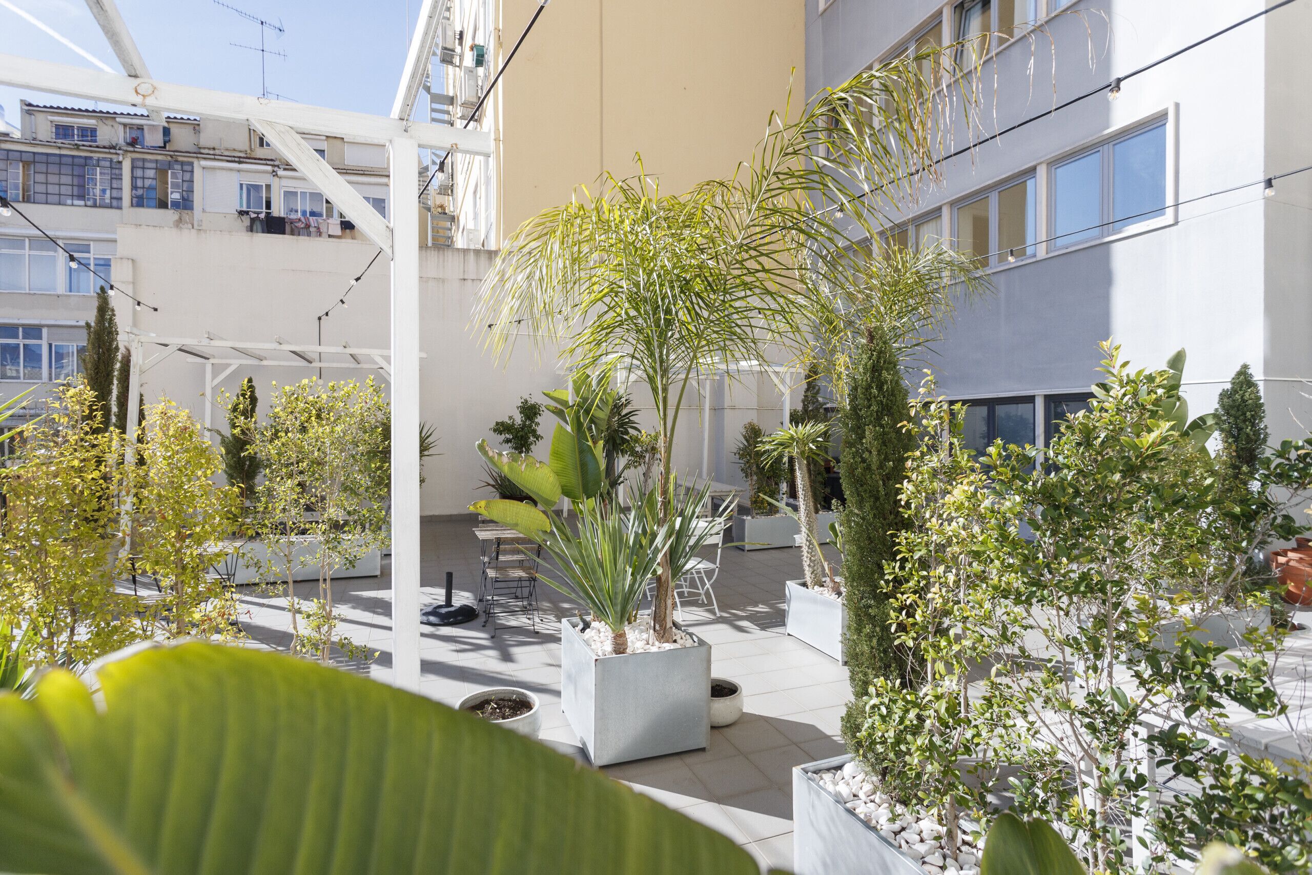 A courtyard with potted plants, outdoor seating, and a building with balconies.