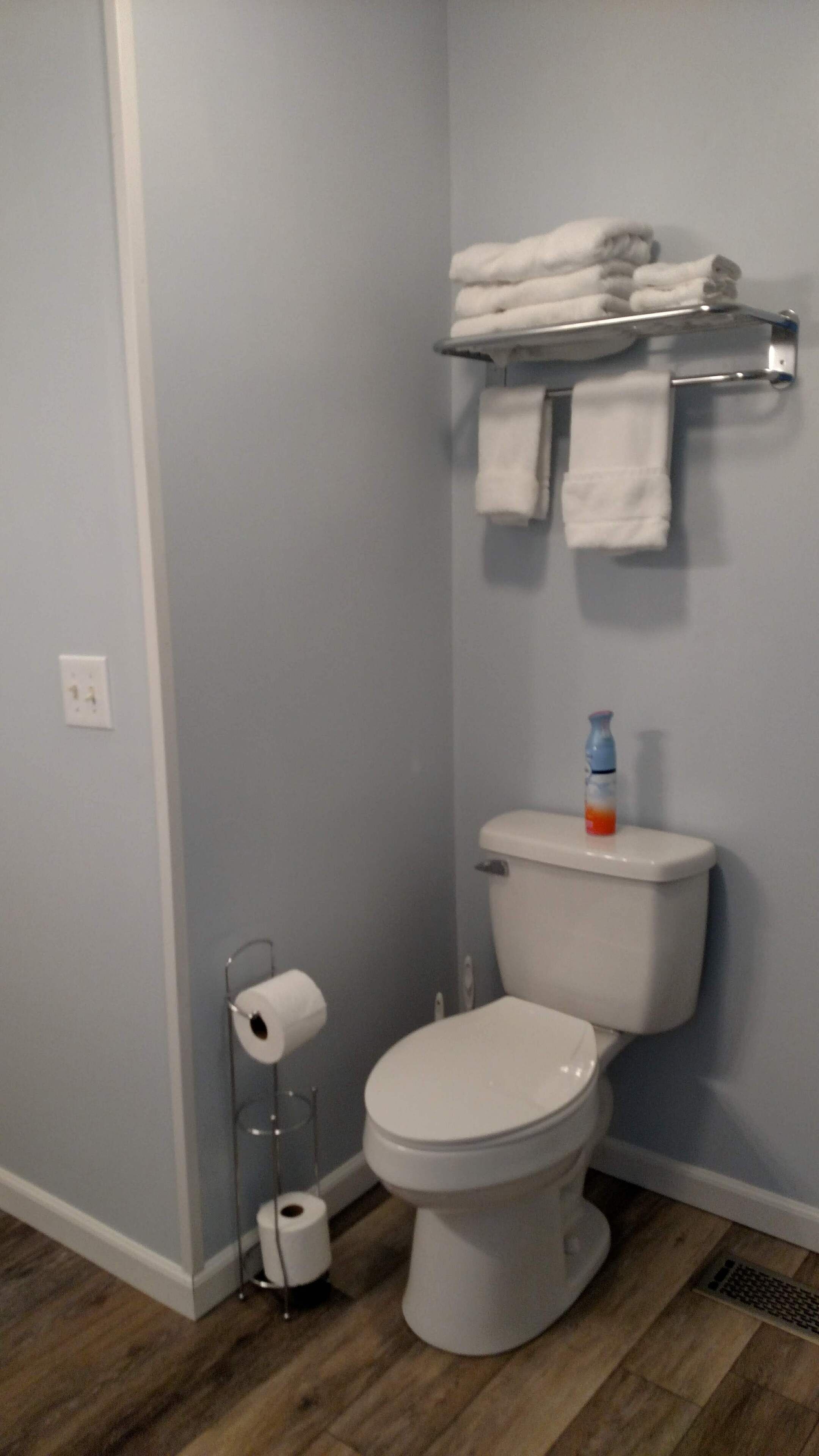 Un baño con un inodoro, un perchero con toallas, un dispensador de papel higiénico y una botella de jabón de manos.
