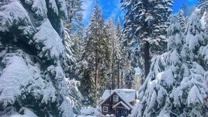 Una cabaña rodeada de árboles cubiertos de nieve.