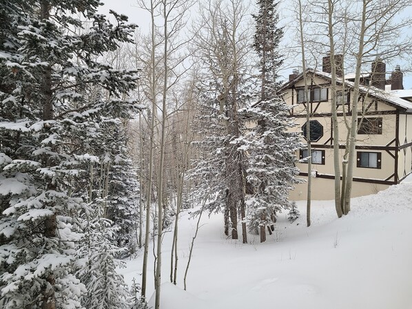 Exterior - Alpine Retreat in beautiful Brian Head, UT (Brian Head)