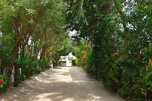 Stroll through lush gardens, approaching a serene, unadorned building surrounded by diverse plant life.