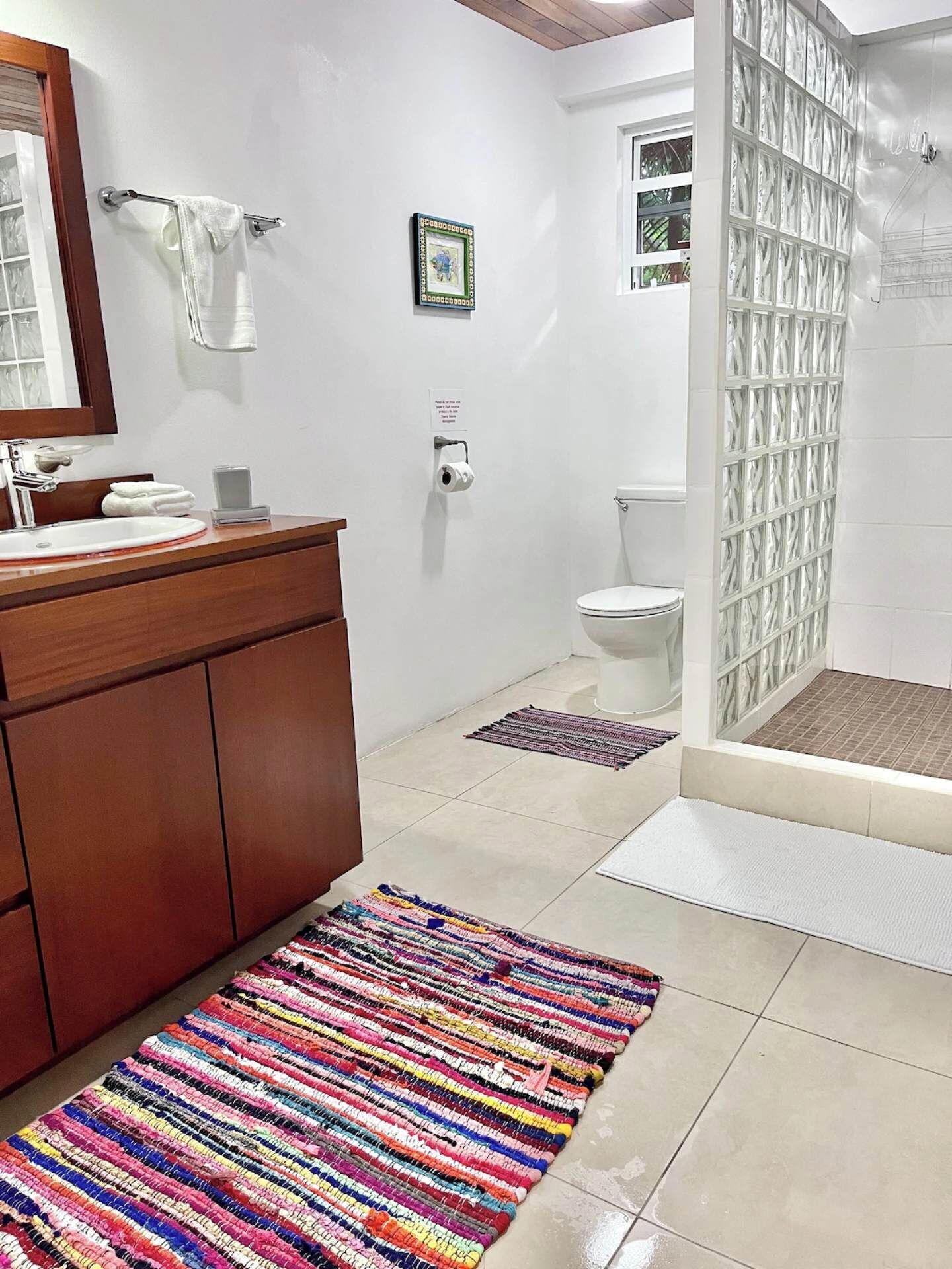 Chuveiro, secador de cabelo, toalhas de banho 